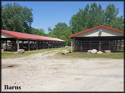 Two of the Horse Barns